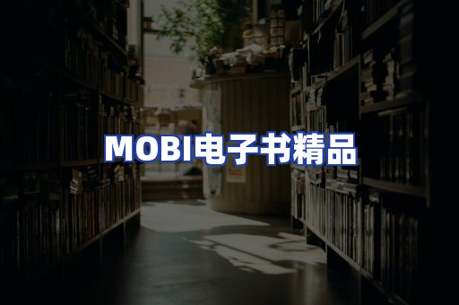 外文电子书产品